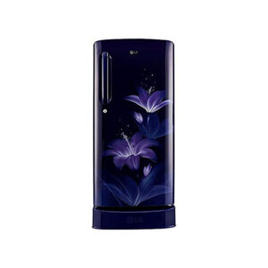 LG 190L 4 Star